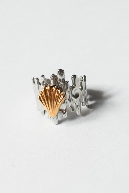 Dual Spark Ring